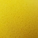 Visite d’un journaliste d’Alpes 1