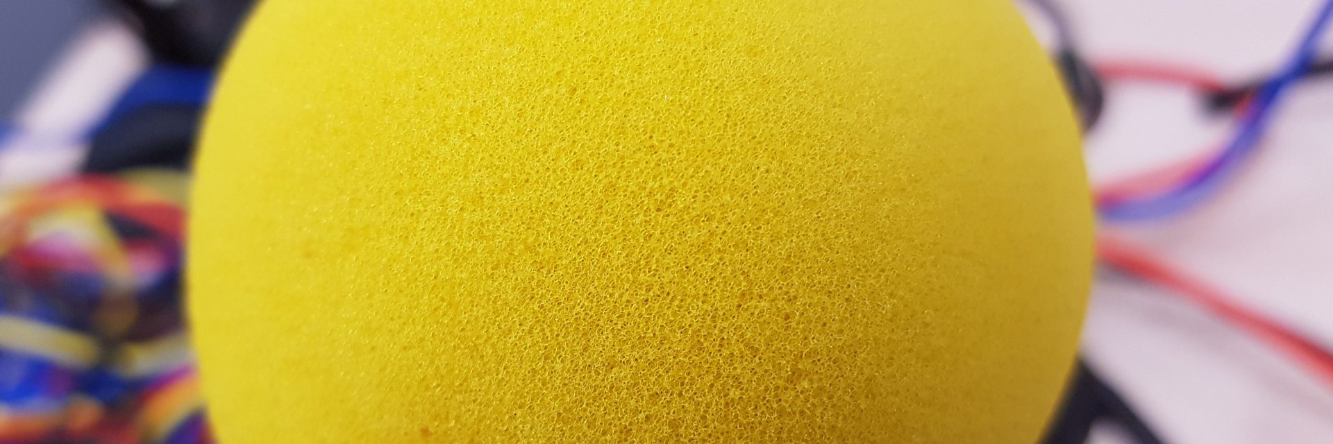 Visite d’un journaliste d’Alpes 1